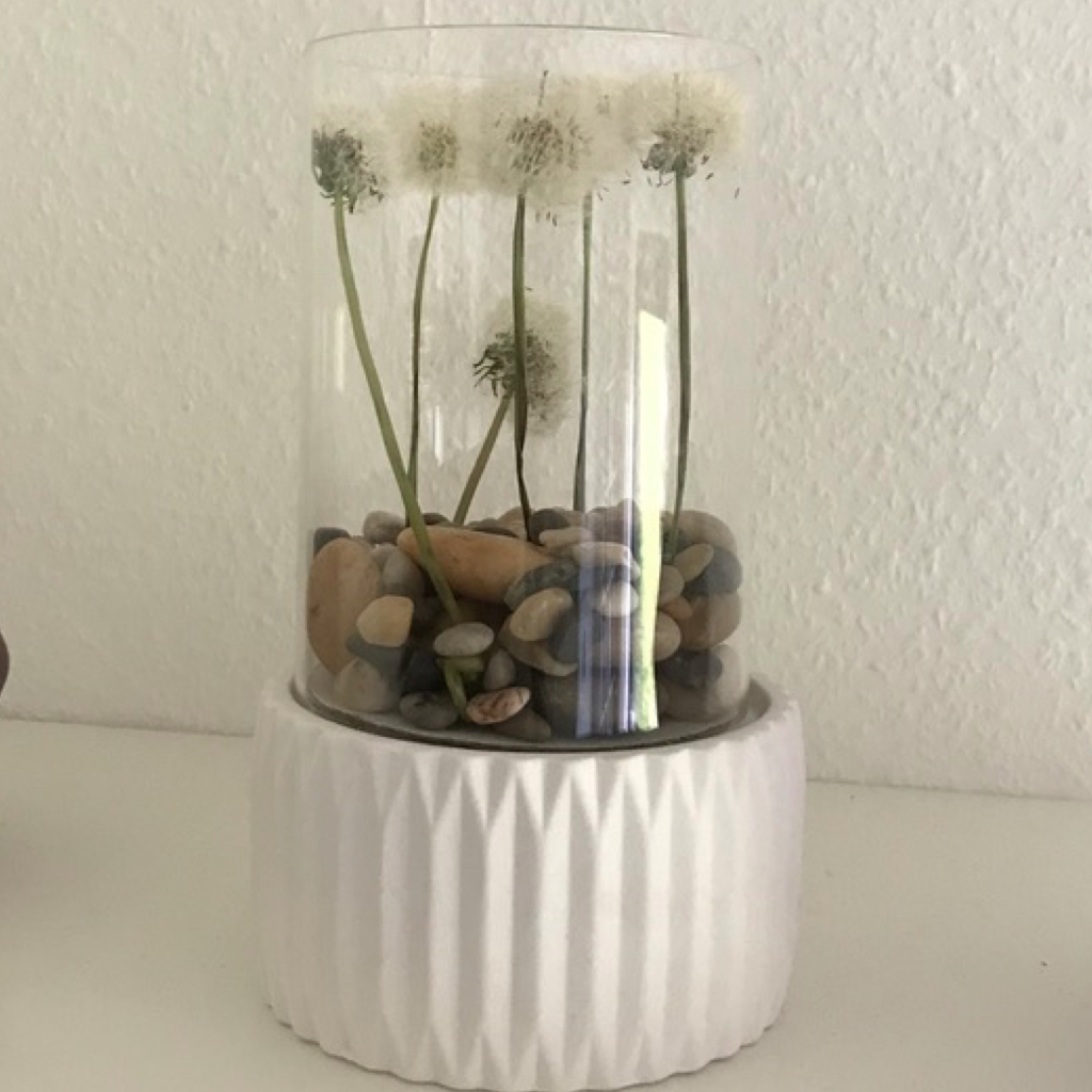 Pusteblumen