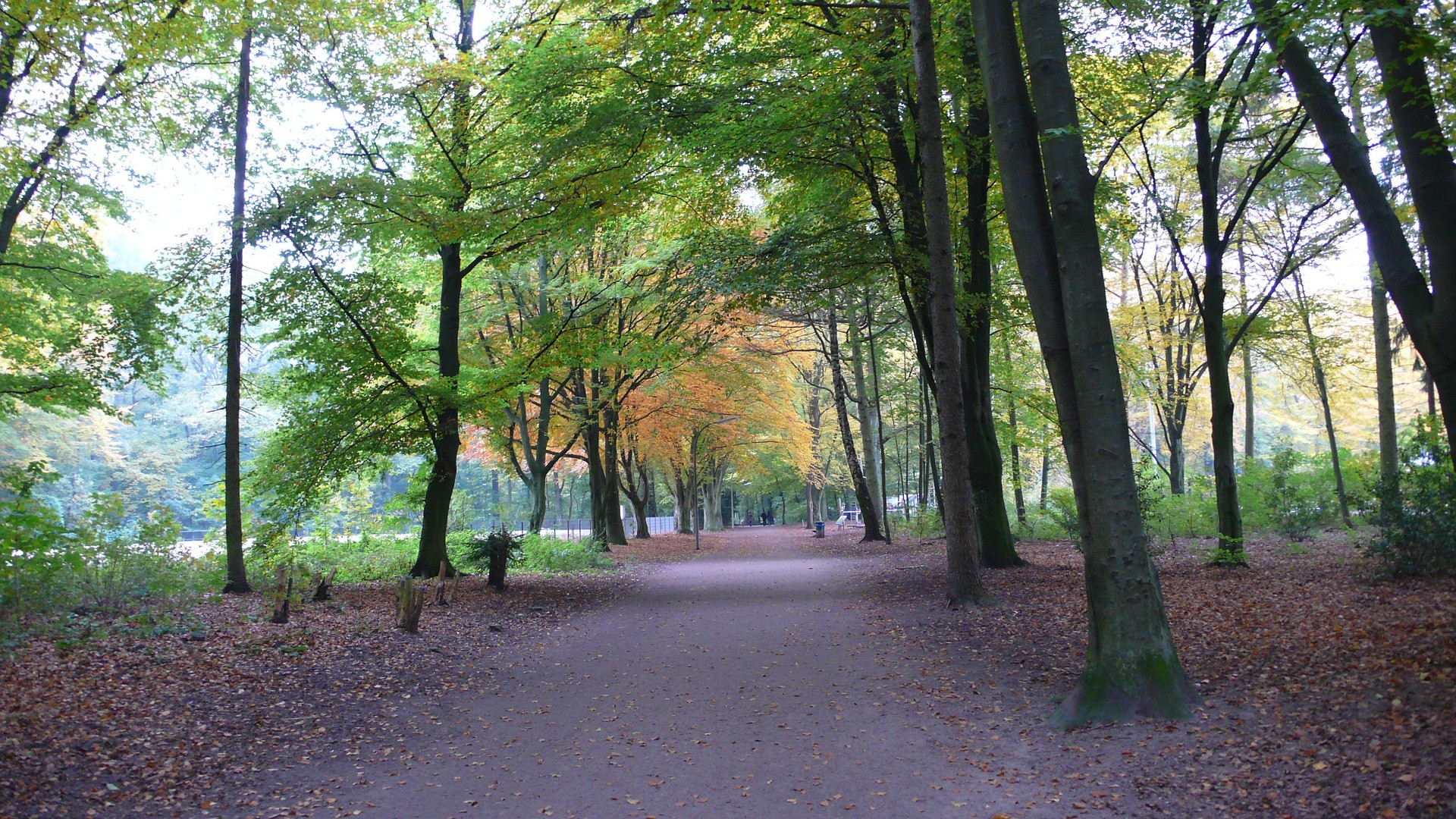 Hamburg