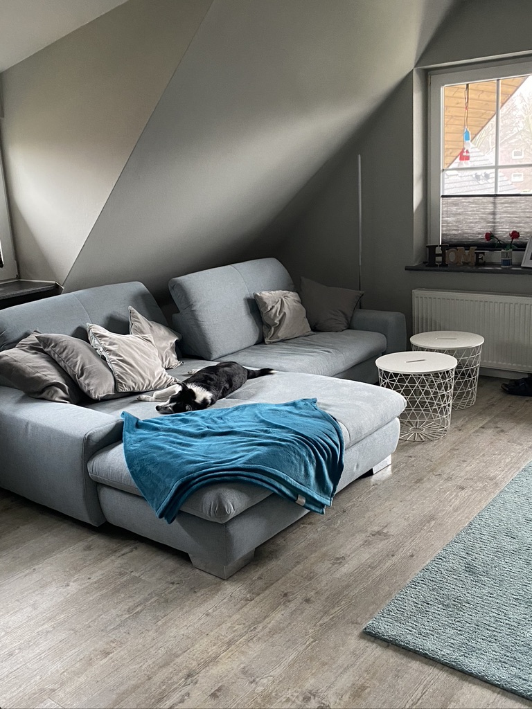 Homestory