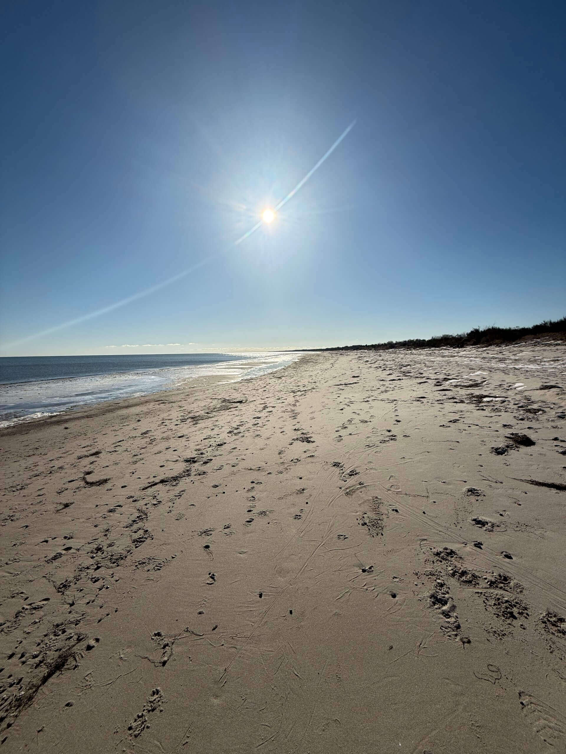 About Dänemark Strand