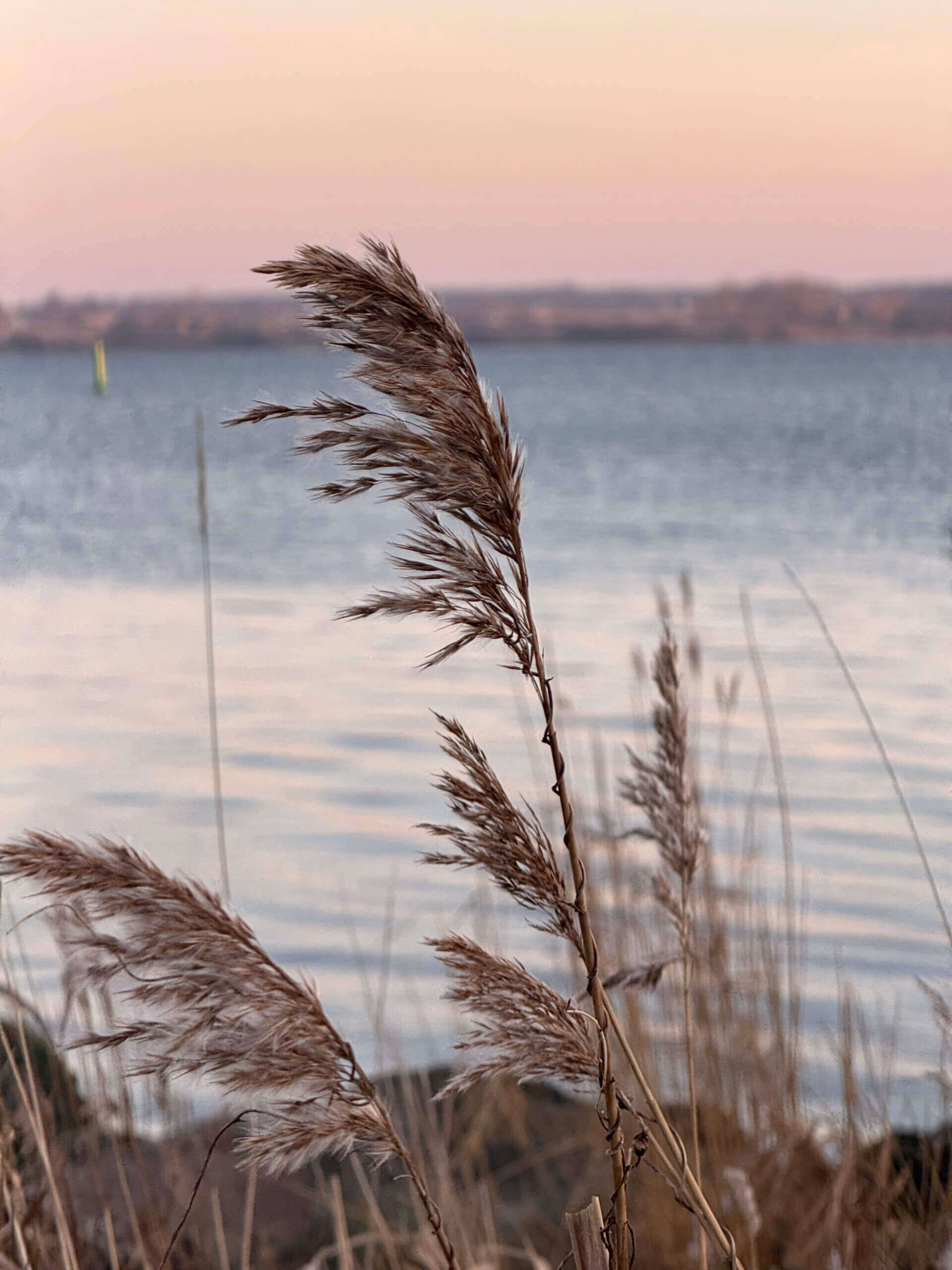 About Winterurlaub Dänemark