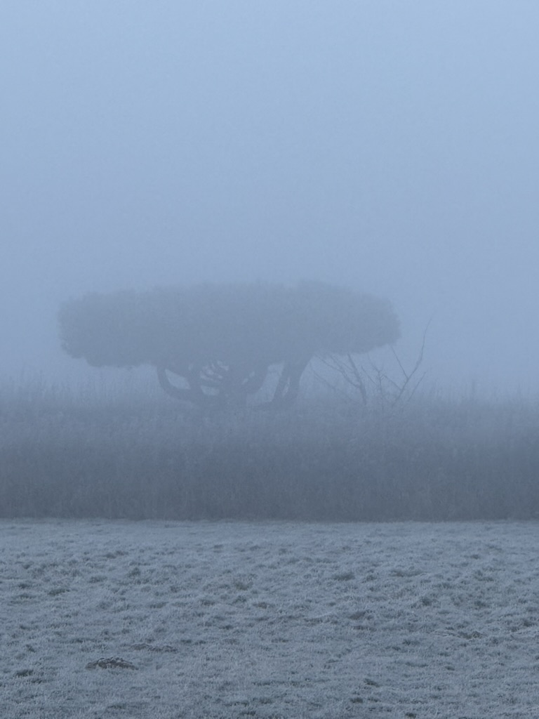Auswanderung erste Schritte