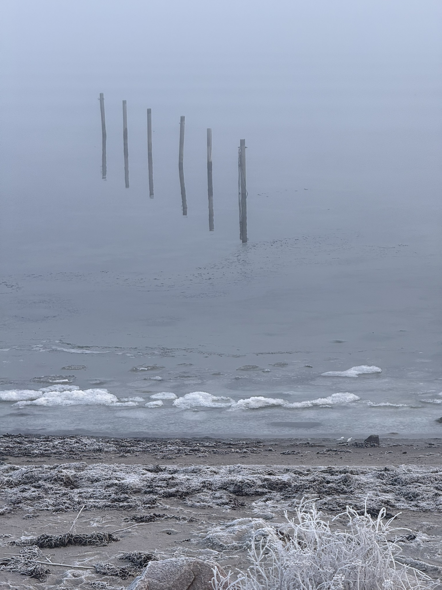 Auswanderung erste Schritte