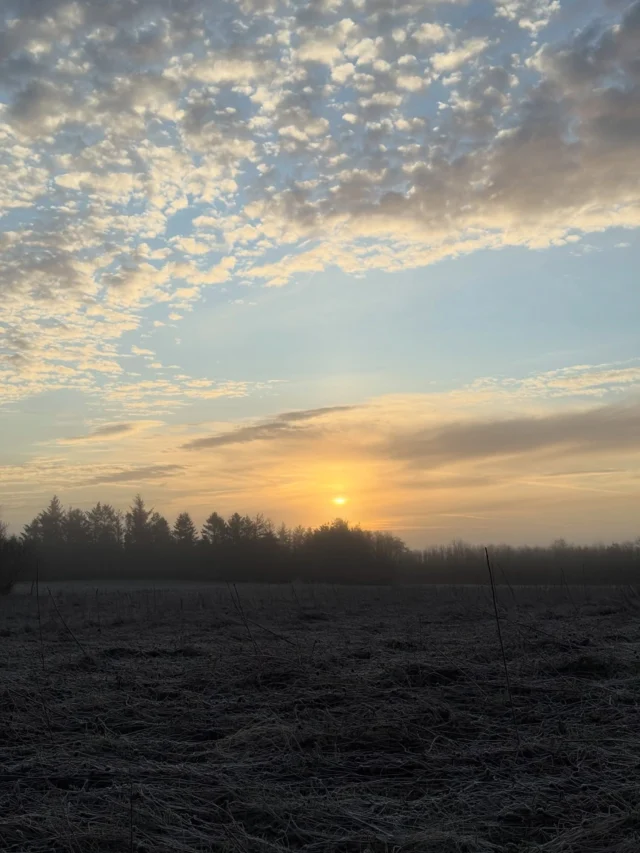 One Morning in April…Heute Morgen bei der Gassirunde war es mit 1 Grad zwar kalt, aber einfach wunderschön. Tagsüber wird es hier schon frühlingshaft warm, aber nachts ist es leider noch sehr winterlich. Meine Daunenjacke ist mir da immer noch ein treuer Begleiter bei der morgendlichen Runde mit unseren kleinen Frühaufsteherin...#sonnenaufgang #nordjylland #dänemark #gassirunde #sunrise
