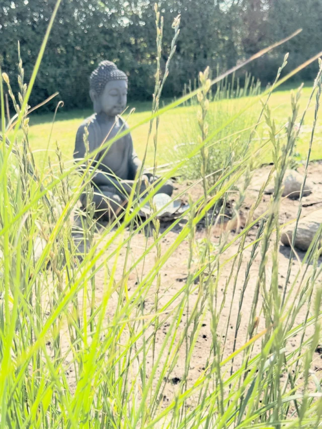 Happy Sunday ☀️🌸Noch ist nicht so viel Neues passiert in unserem Außenbereich. Unsere (meine) Pläne sind teurer als gedacht, deshalb muss ich mich etwas in Geduld üben…Aber genießen können wir das tolle Wetter draußen trotzdem.Im Vorgarten habe ich immerhin schon ein neues Beet angelegt. Nächste Woche geht es dort weiter...#garten #gartendeko #instahome #gartenliebe #interior